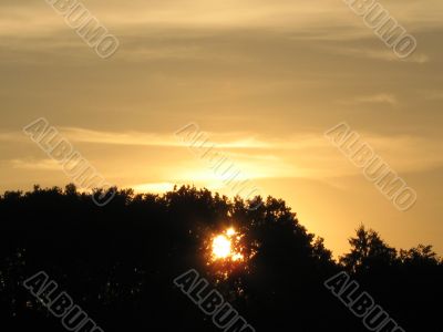 sun breaking through the trees