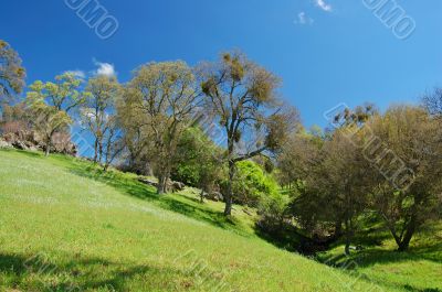 spring countryside spring countryside