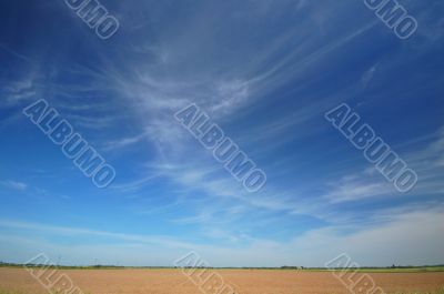 agricultural field