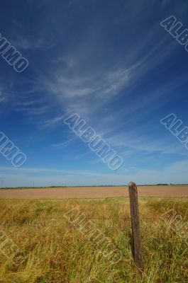 agricultural field