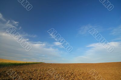 agricultural landscape