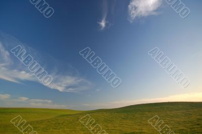 agricultural landscape