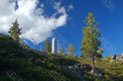 Mountain forest in spring Mountain forest in spring