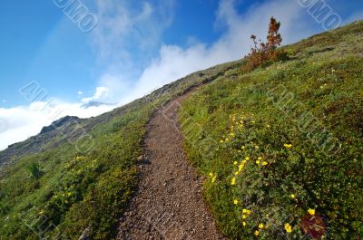 Trail in the mountains