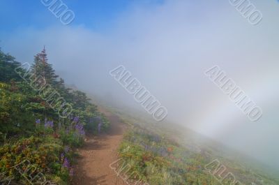 hiking trail in the mountains