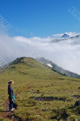 hiking trail in the mountains