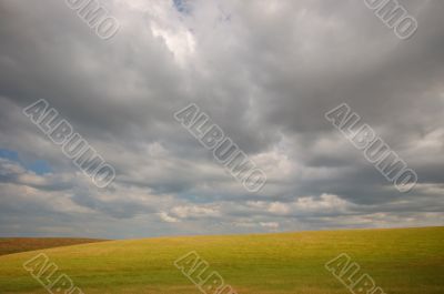 summer field summer field