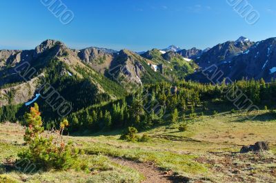 hiking trail in the mountains