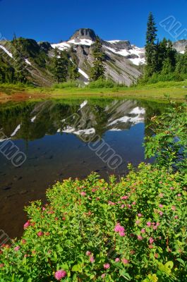 Peak Refelections Peak Refelections