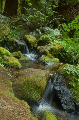 Waterfall in the forest Waterfall in the forest