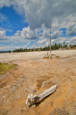 Yellowstone Geyser Yellowstone Geyser