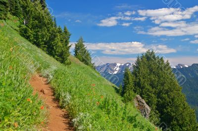 Trail in the mountains