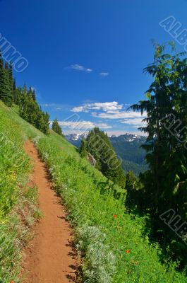 Trail in the mountains