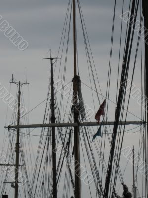 masts of the yachts