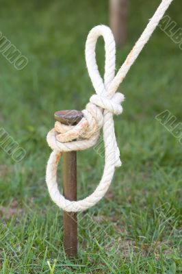 Tent Stake with Rope