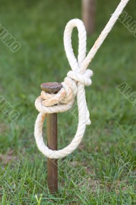 Tent Stake with Rope Tent Stake with Rope