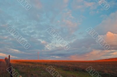 afternoon field