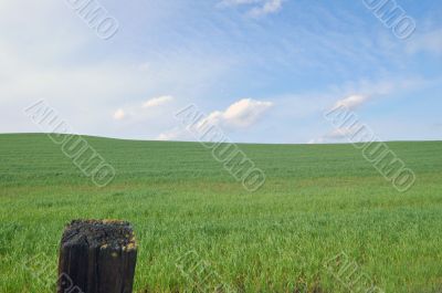 Camera pointed at grass