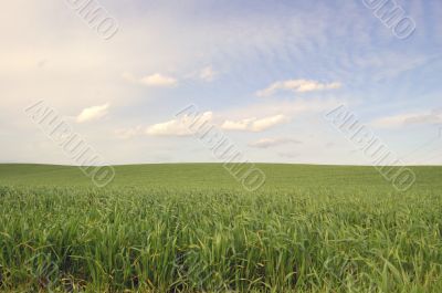 camera pointed at grass