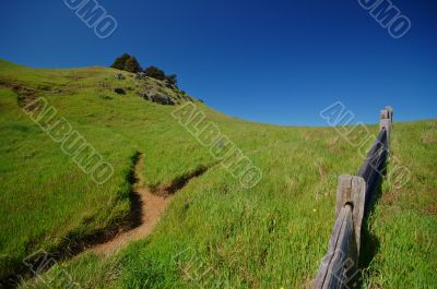 Mt Tamaplais Trail