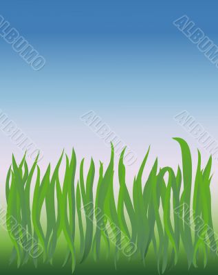 vector grass