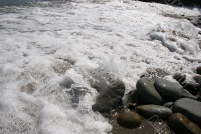 waves waves