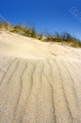 Dune Dune