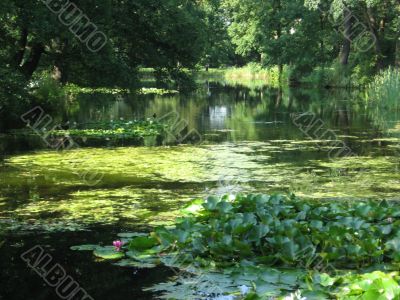 stunning view of city park