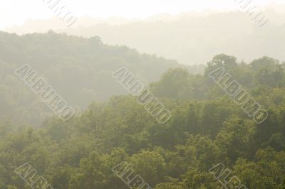 Misty green hills