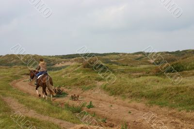 Horse and rider Horse and rider