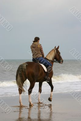 Rider at the beach