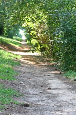 Path to Lake