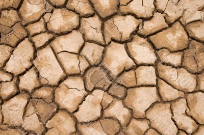cracked and dried soil cracked and dried soil