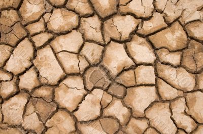 cracked and dried soil