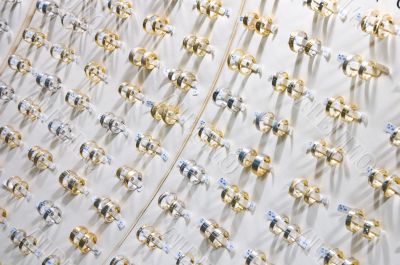 golden wedding rings on display
