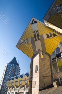 cube houses in Rotterdam