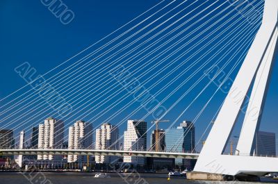 skyline of rotterdam behind bridge