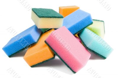 Sponges Sponges