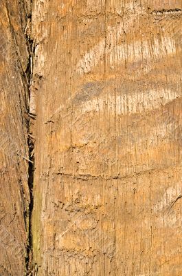 rough wood texture