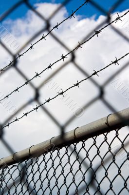 barbed wire behind a chain link fence