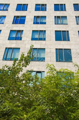 office building with green foliage in front