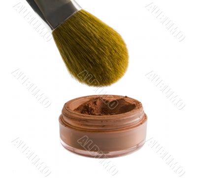 Makeup Brush and Blush