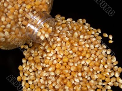 Popcorn Kernels Pouring from the Container Popcorn Kernels Pouring from the Container