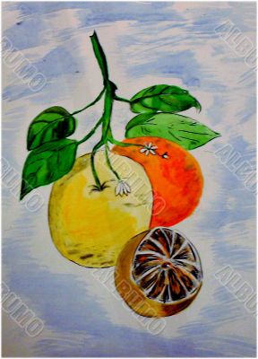 Still Life Watercolor Oranges