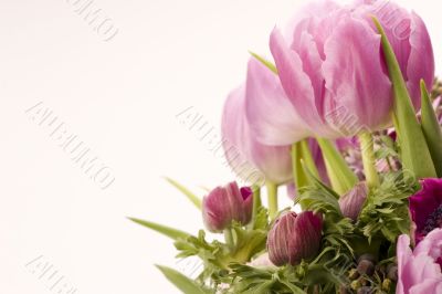Tulip, Anemone, Lilac &amp; Berries