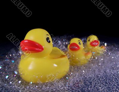 Three Rubber Ducks in Soap Suds Three Rubber Ducks in Soap Suds