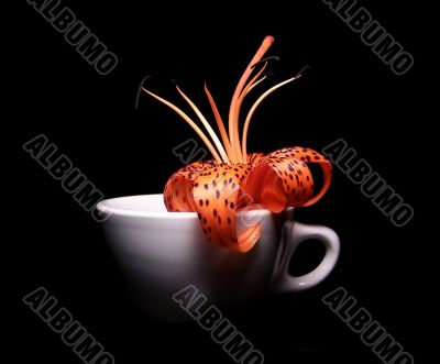 Single Tiger Lily In A White Porcelain Cup Single Tiger Lily In A White Porcelain Cup