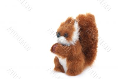 SquirrelI. SquirrelI.
