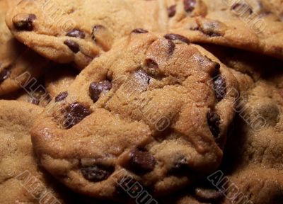 Chocolate Chip Cookies