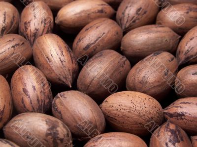 Whole Pecans In The Shell Whole Pecans In The Shell